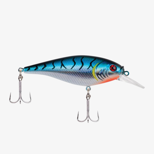 Shallow Flicker Shad