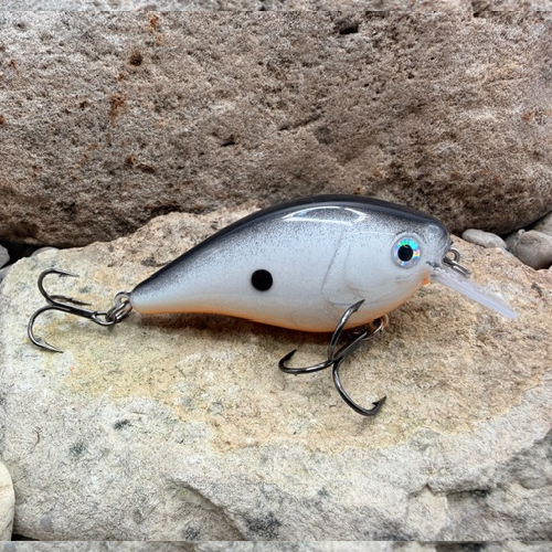 131 Custom Lures - Square Bills 1.5