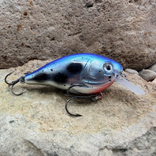 131 Custom Lures - Square Bills 1.5