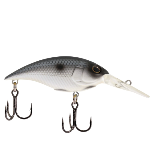 Berkley Money Badger
