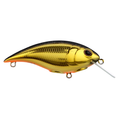 Berkley Shallow Money Badger