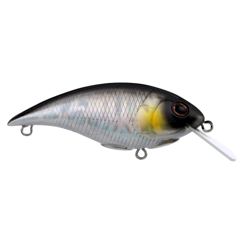 Berkley Shallow Money Badger