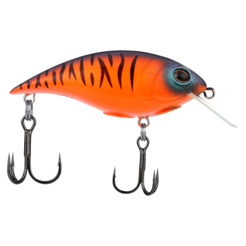 Berkley Shallow Money Badger