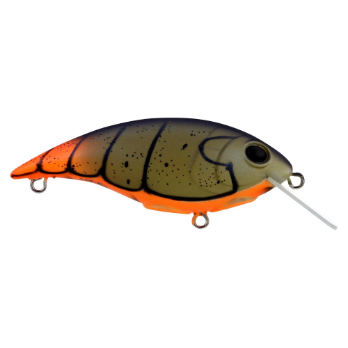Berkley Shallow Money Badger