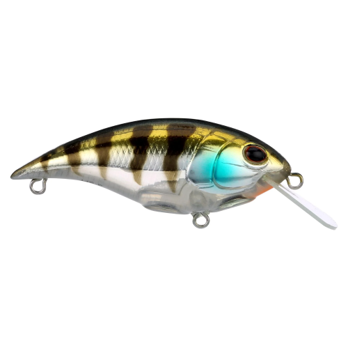 Berkley Shallow Money Badger