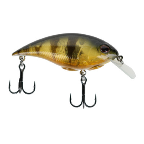 Berkley Shallow Money Badger