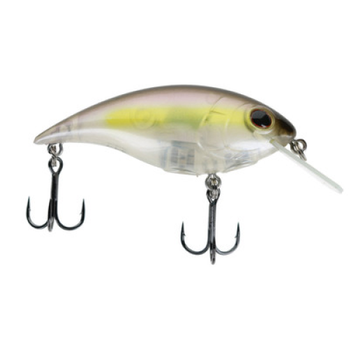 Berkley Shallow Money Badger