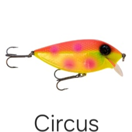 Mr. Chrome Crank Baits 3 inch / Fruit Salad Mr. Chrome Crank Baits 3 inch / Fruit Salad