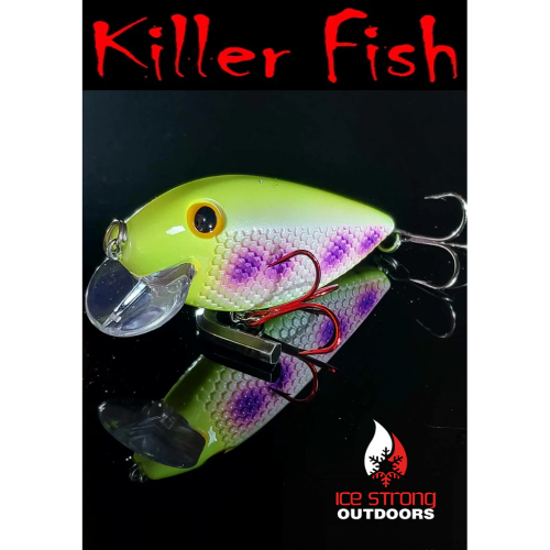 Ice Strong Outdoors Killer Fish Rattling Shallow Divers