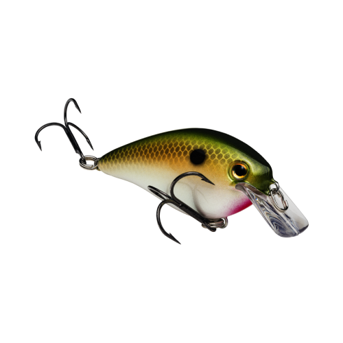 Strike King KVD Square Bill 1.5 Crankbait