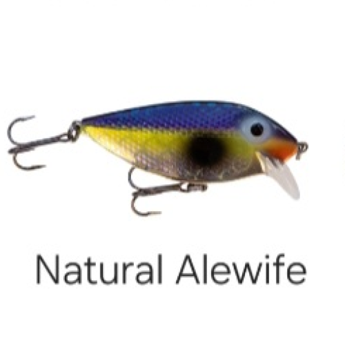 Mr Chrome Crank Baits Circus Mr Chrome Crank Baits Circus