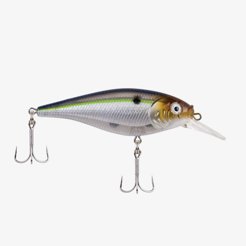 Shallow Flicker Shad