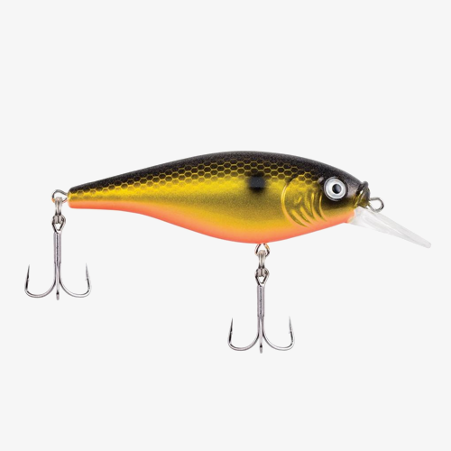 Shallow Flicker Shad