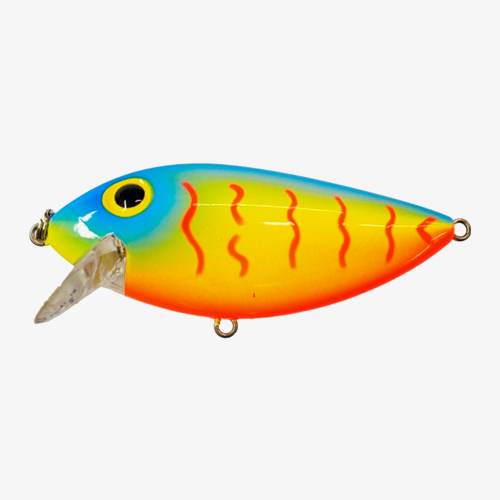 Brads Thin Fish – Lake Michigan Angler A
