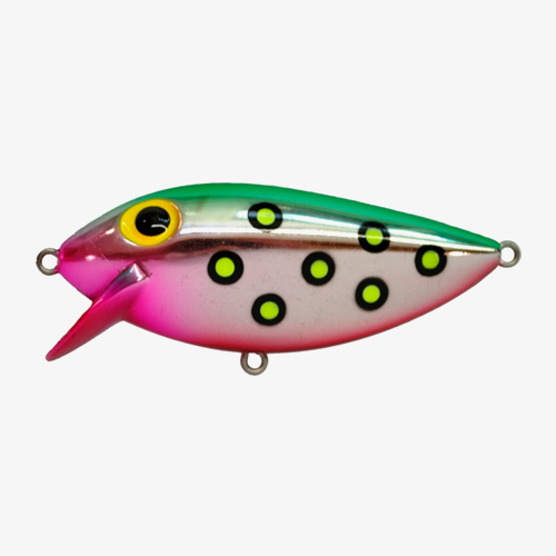 Brad's ThinFish Watermelon; 2 3/4 in.