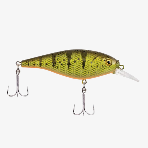 Shallow Flicker Shad