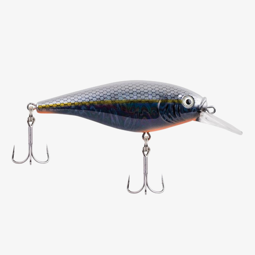 Shallow Flicker Shad