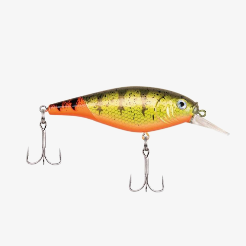 Shallow Flicker Shad