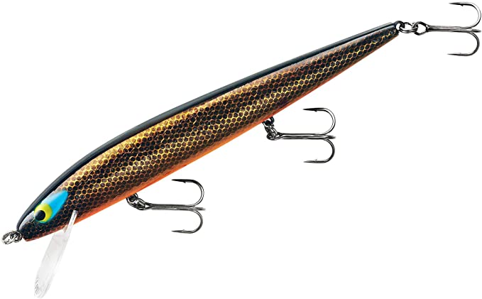 Smithwick 10 P10 Rogue Chrome Blue Orange Belly Adr532ob Fishing Lure for  sale online