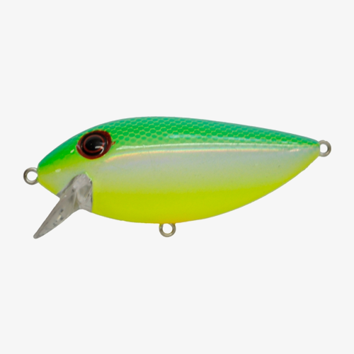 Brad's ThinFish Watermelon; 2 3/4 in.